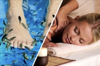 LAKANA Thai - Massage & Fish Spa Berlin, Nähe Alexanderplatz am Volkspark Friedrichshain in Berlin Pankow im Prenzlauer Berg