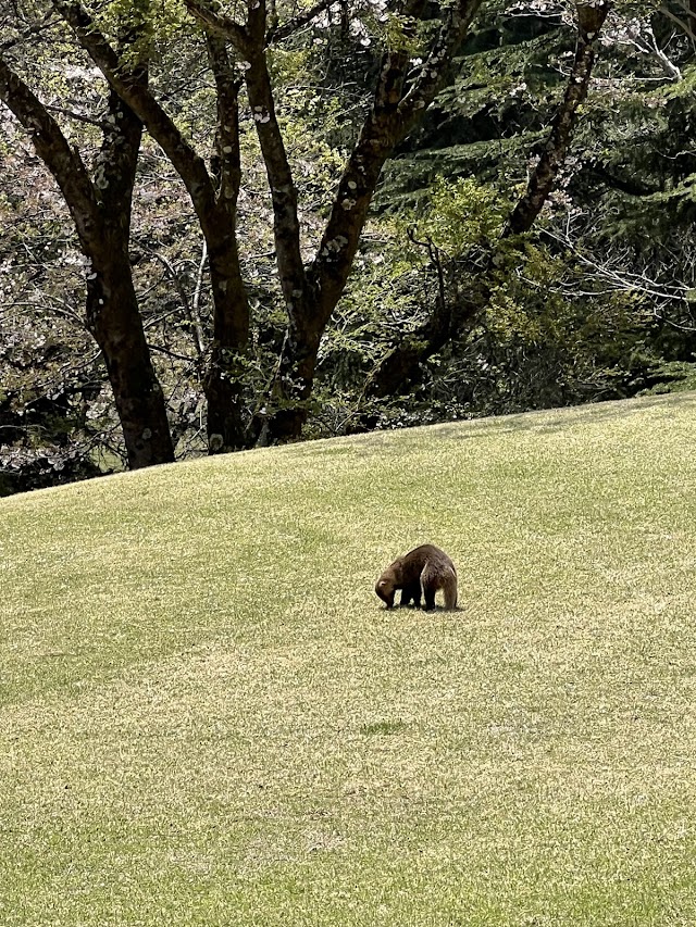 Sagami Lake Country Club - Photo 7