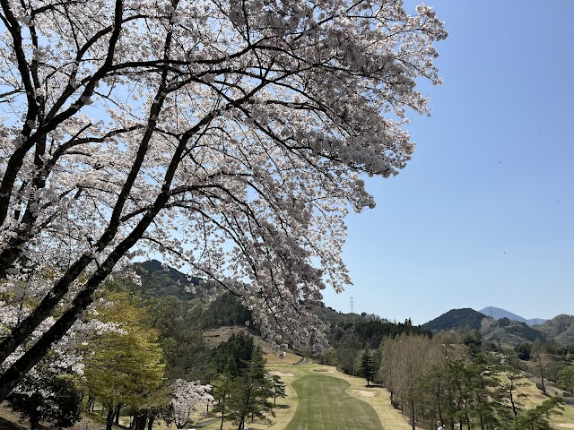 Sagami Lake Country Club - Photo 9