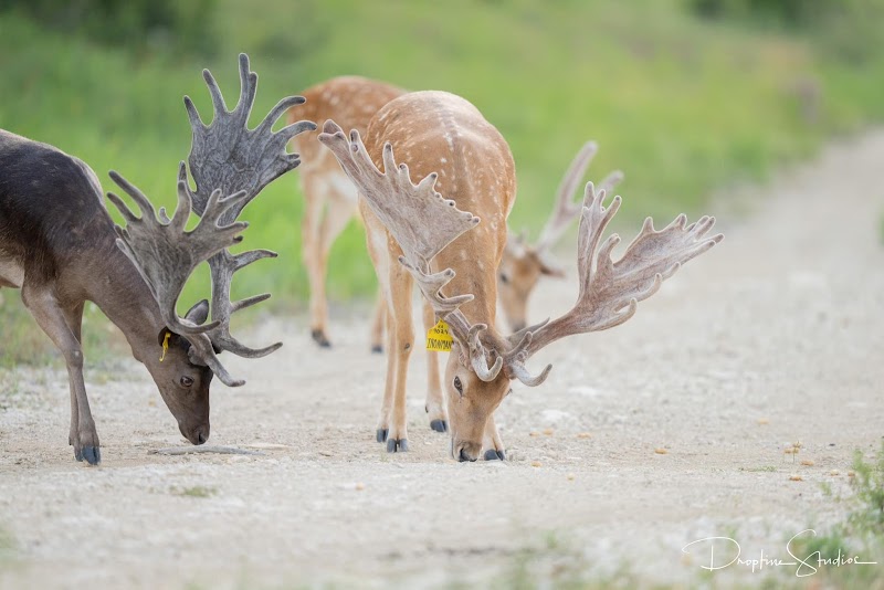 Keeper Ranch - Photo 4