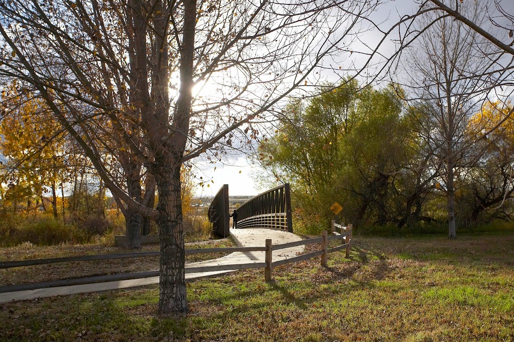 Roof Replacement Services in Parker, CO