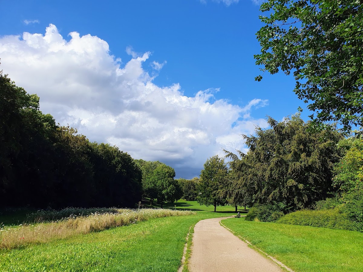 Hollandwiese
