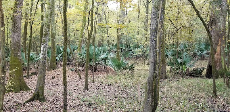 Sherburne Wildlife Management Area - Photo 5