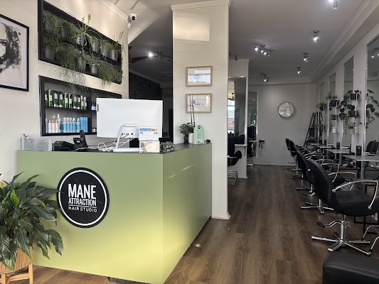 Mane Attraction hair studio