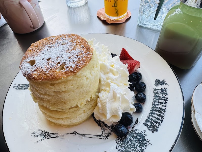 Morning Glory photo 4