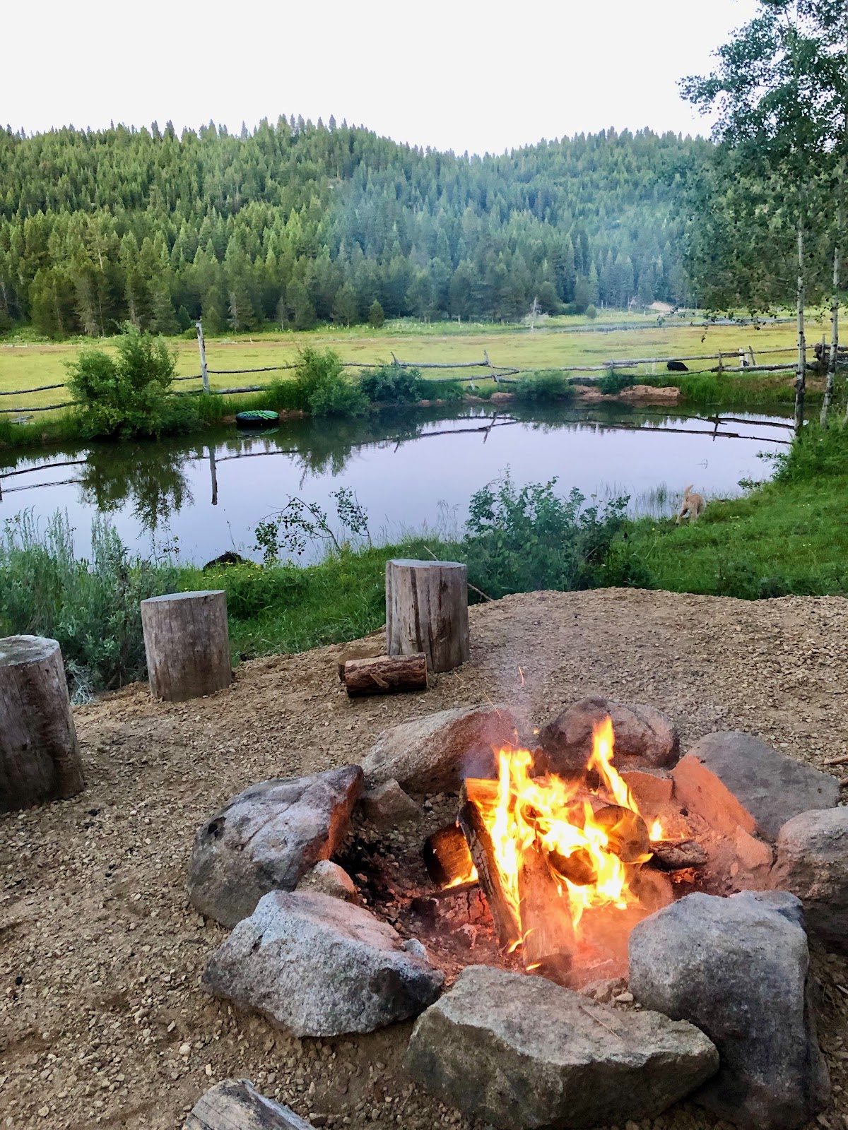 Longhorn Guest Ranch