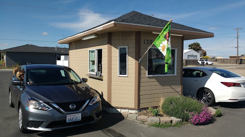 Kix Stand Espresso photo 3