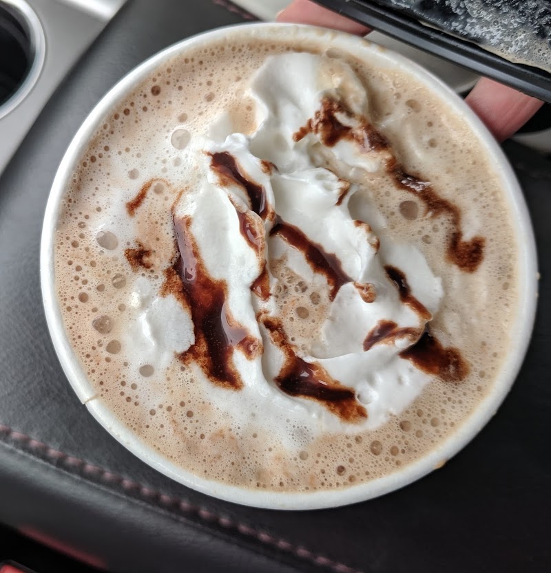 Blue Moose Coffee Lodge photo 2