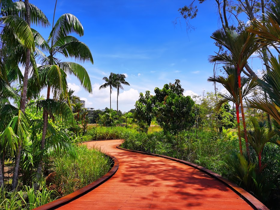 Jurong Lake Gardens fotoğraf 1