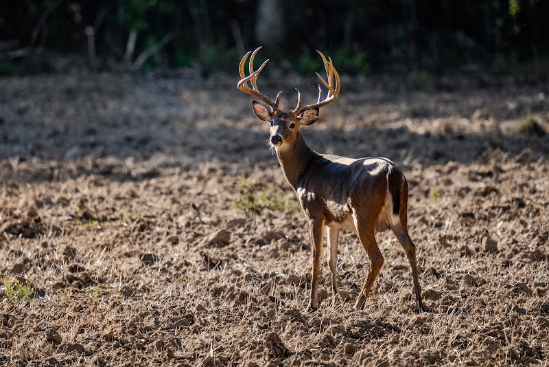 Merryville Outfitters, LLC. - Photo 1