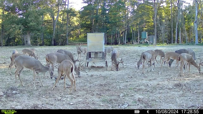 Merryville Outfitters, LLC. - Photo 2