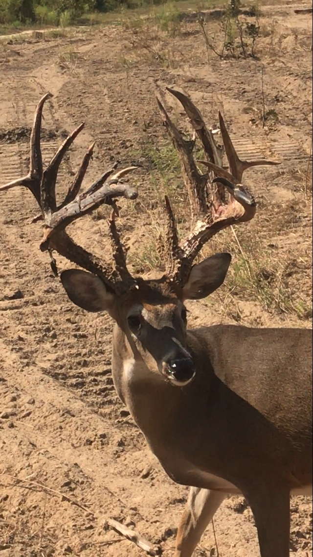 Merryville Outfitters, LLC. - Photo 6