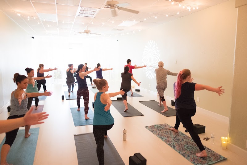 The Studio Mind|Body