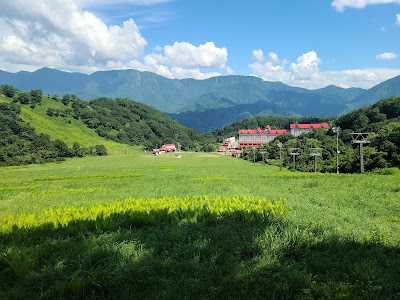 Hakuba Cortina Ski Area - 5