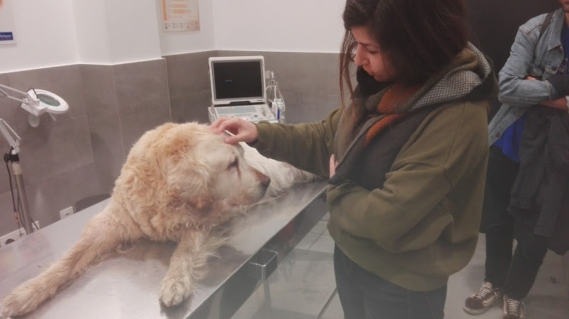 Clínica Veterinaria Gran Vía photo 3