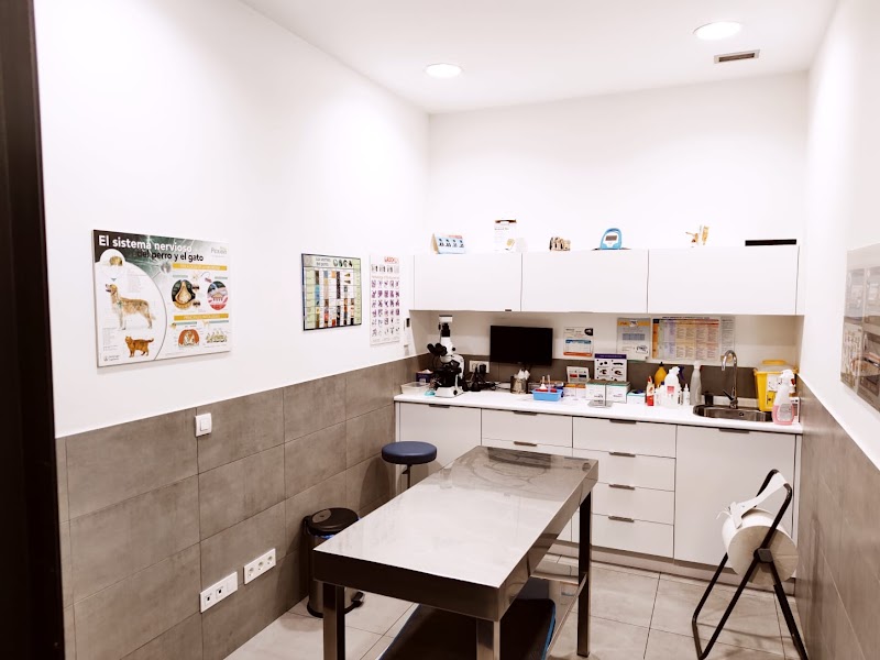 Clínica Veterinaria Gran Vía photo 2