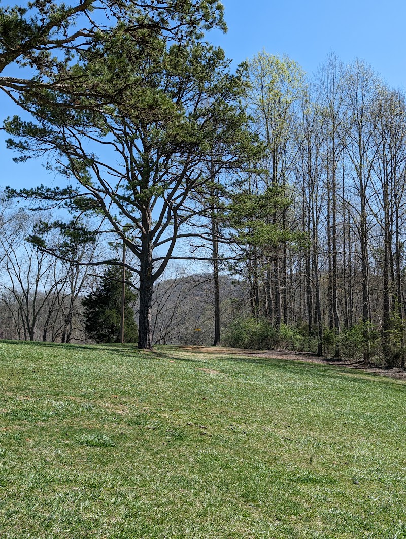 Warriors' Path State Park Disc Golf Course photo 4