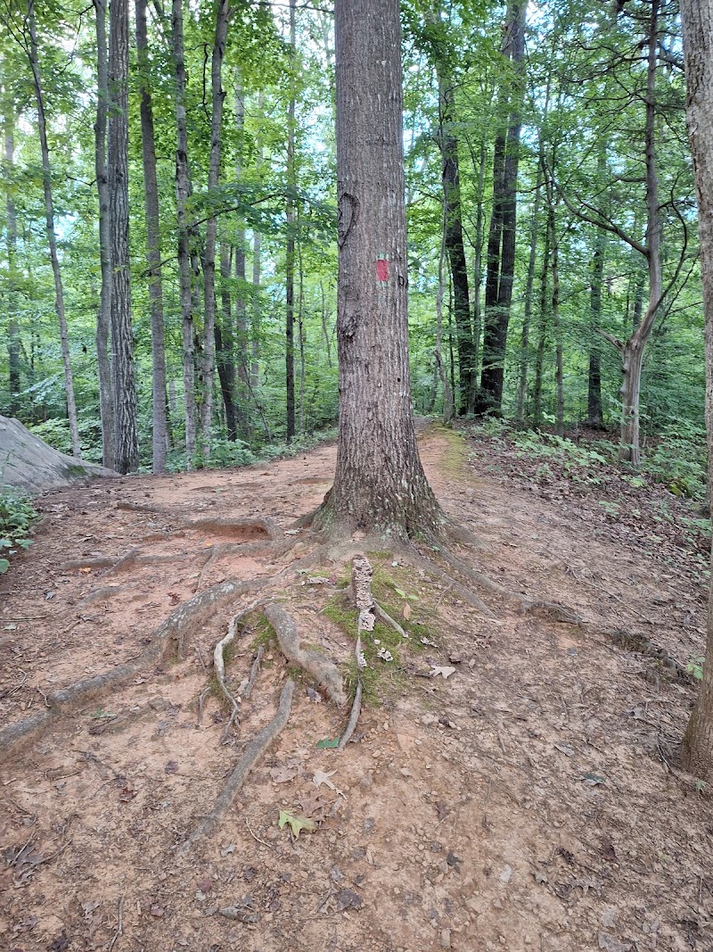 Warriors' Path State Park Disc Golf Course photo 1