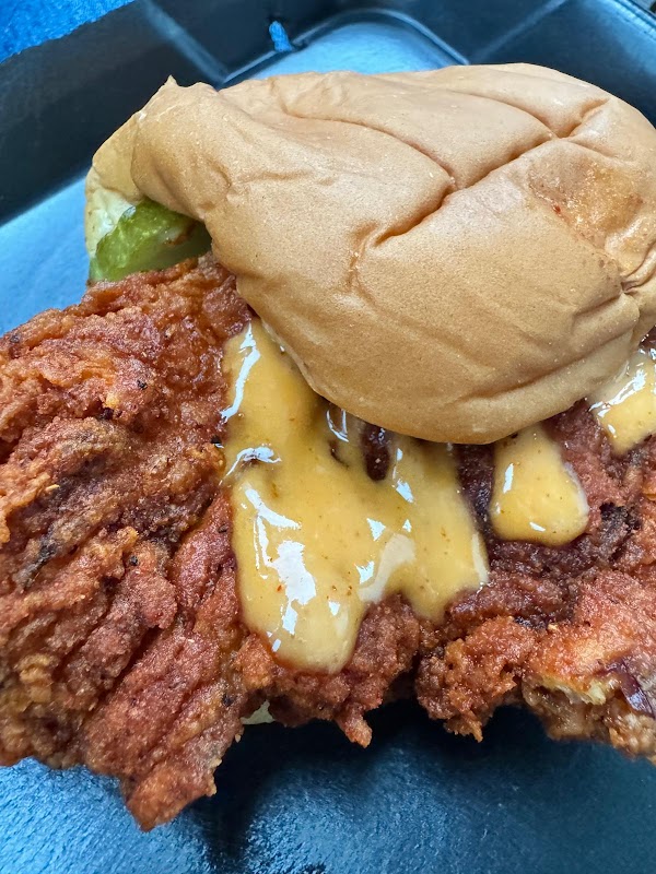 Photo by MJ Negahdar