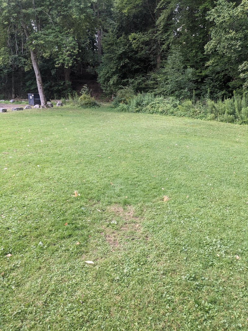 Falconer Park Disc Golf Course photo 2