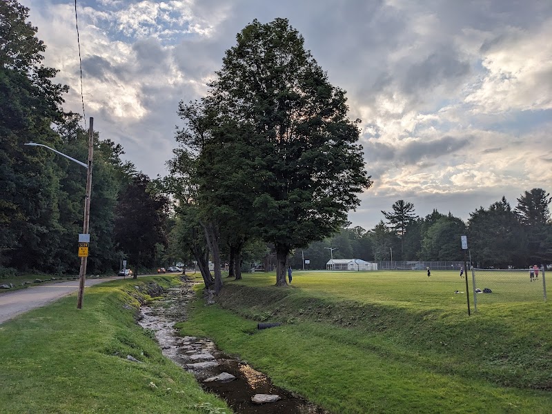 Falconer Park Disc Golf Course photo 3