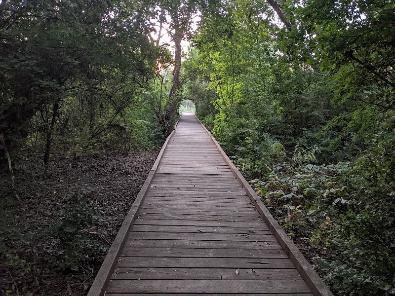 Bicentennial Park photo 4