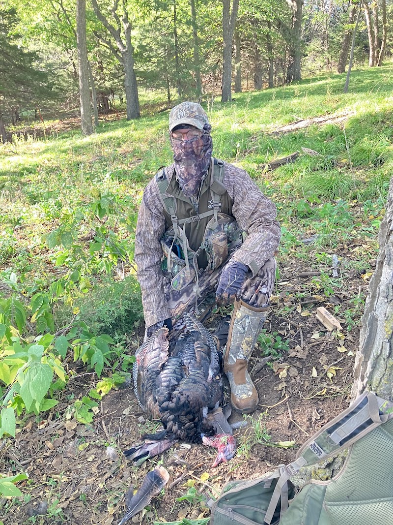 Top Flight Hunts - Photo 4
