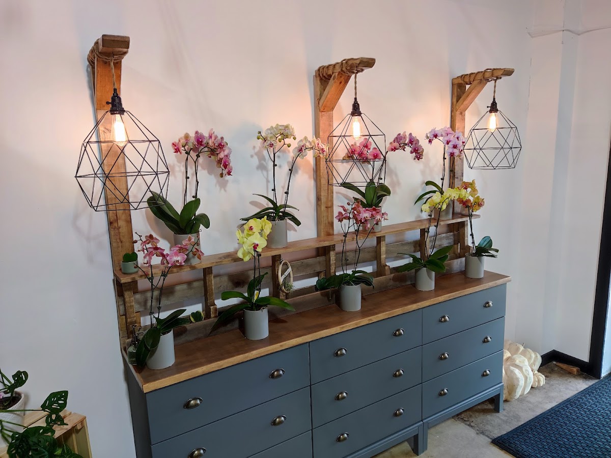 Schaaf Floral: Google Places image 4