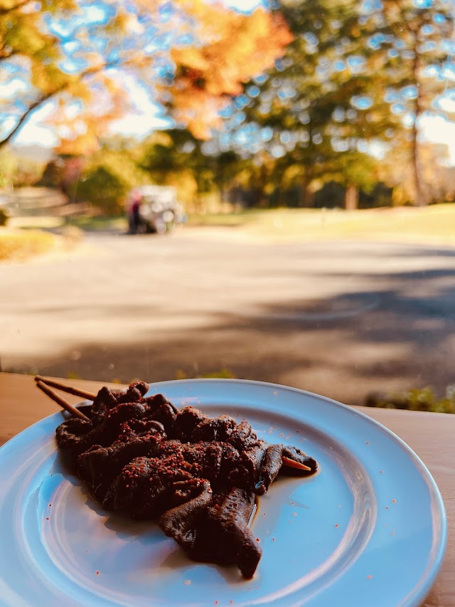 Gifu Country Club - Photo 7