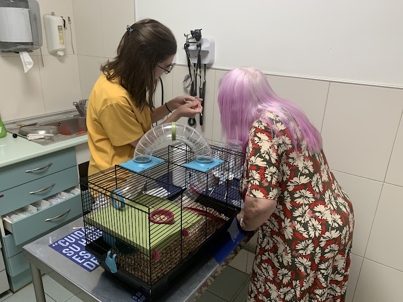 Agaba Centro Veterinario