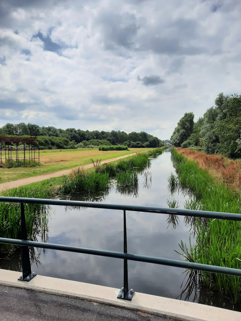 Schieveen