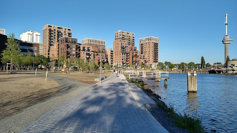 Coolhaven