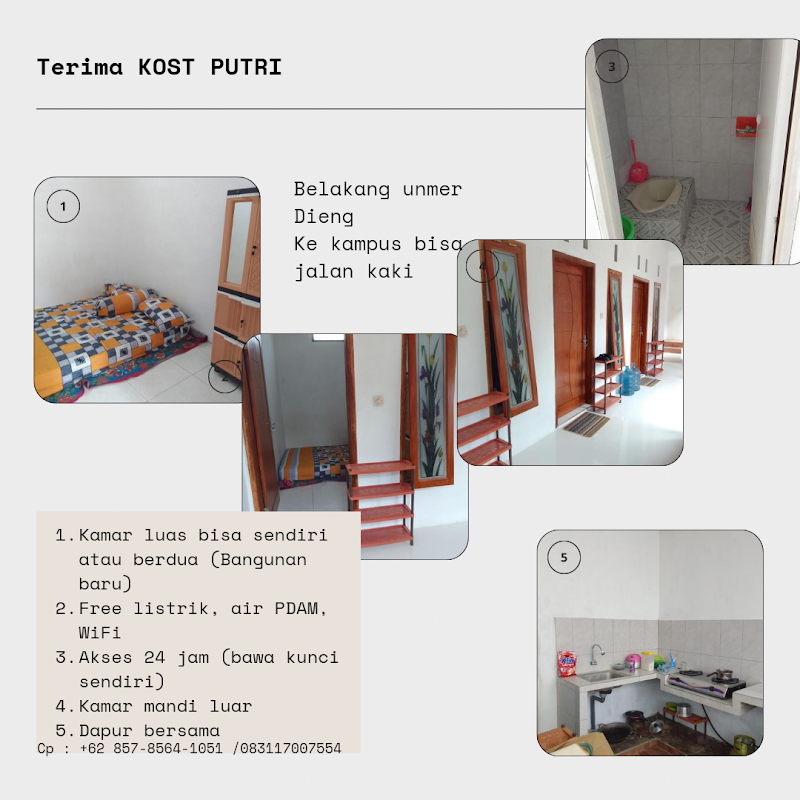Kost putri PCB 112c