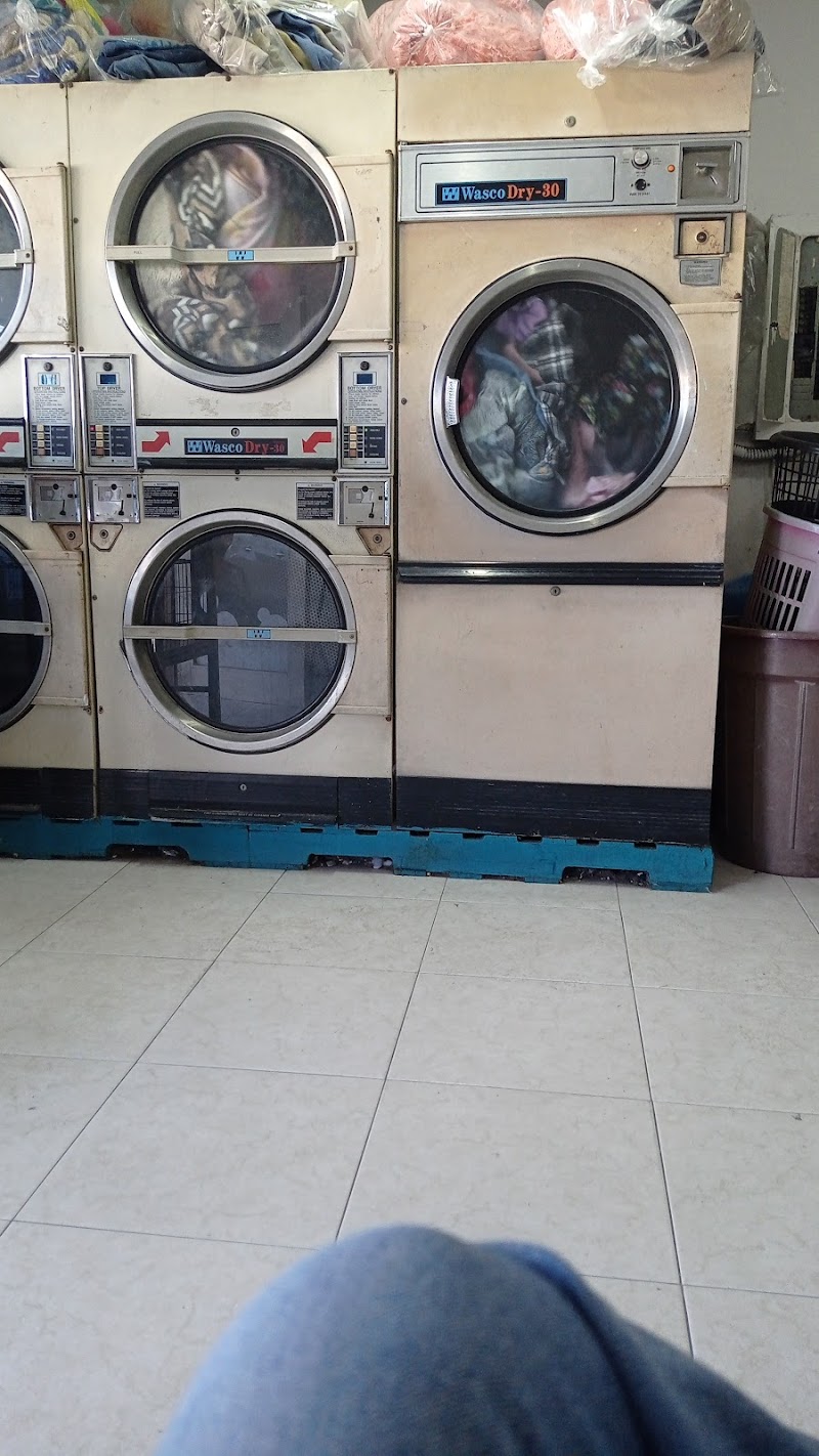 LAVANDERIA MAGIC WASH