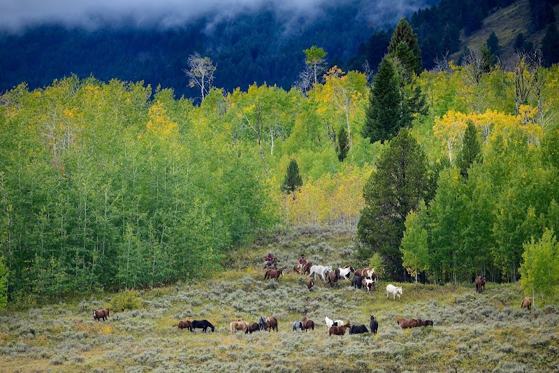 Parade Rest Guest Ranch - Photo 3
