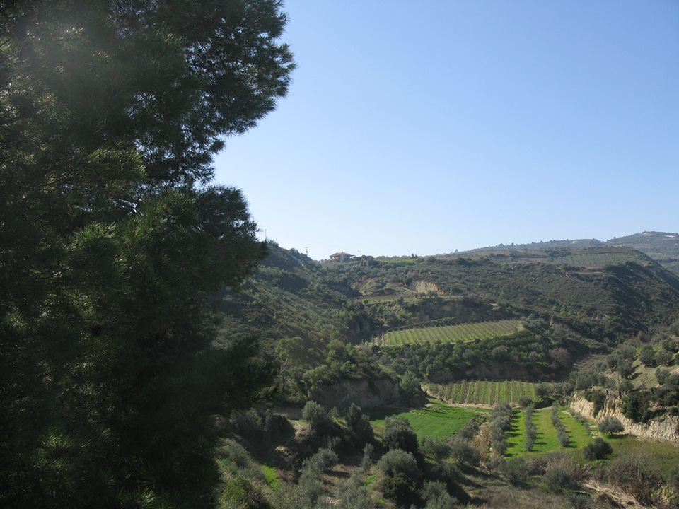 Papargyriou state