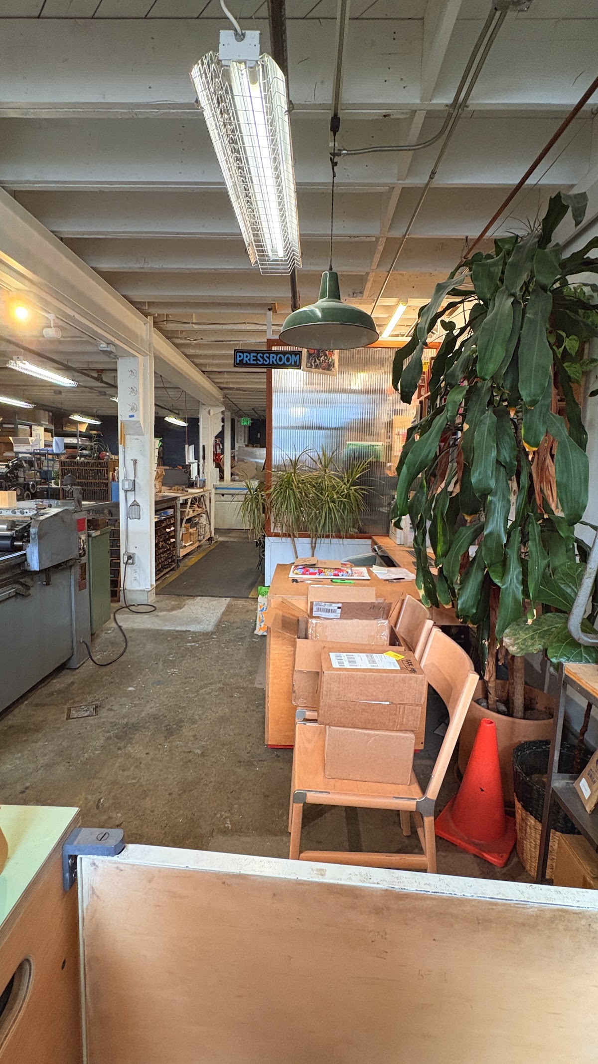The Aesthetic Union: Google Places image 4