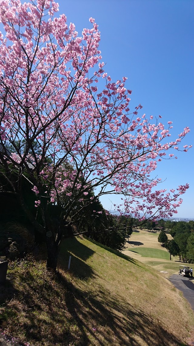 Takayubaru Country Club - Photo 7