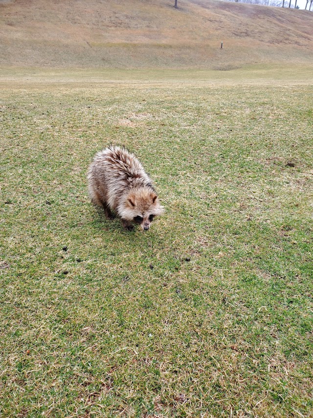 Hokkaido Poroto Golf Club - Photo 8