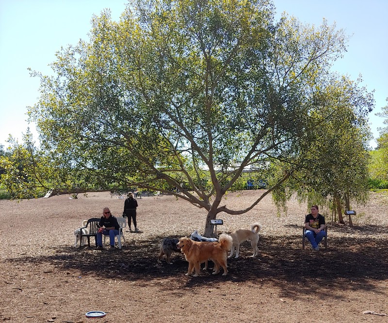 Central Park Dog Park in Huntington Beach