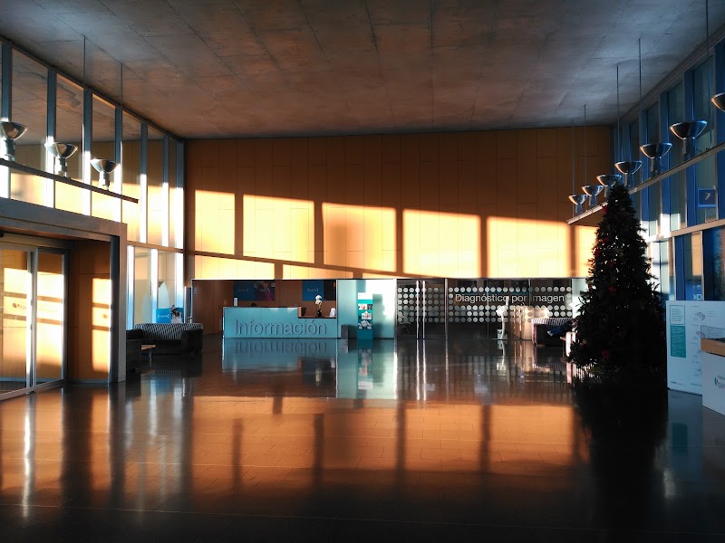 Gallery 4
