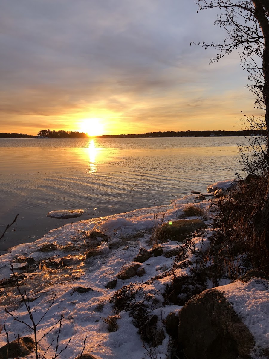 STF Arkösund Sköldviks Vandrarhem & Strandkafe