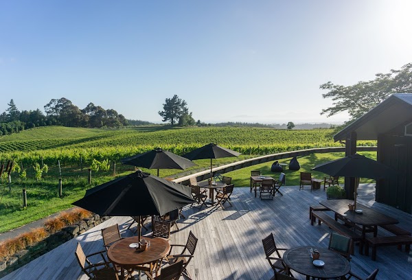 Gravity Cellars - Winery, Cellar Door & Art Gallery 1