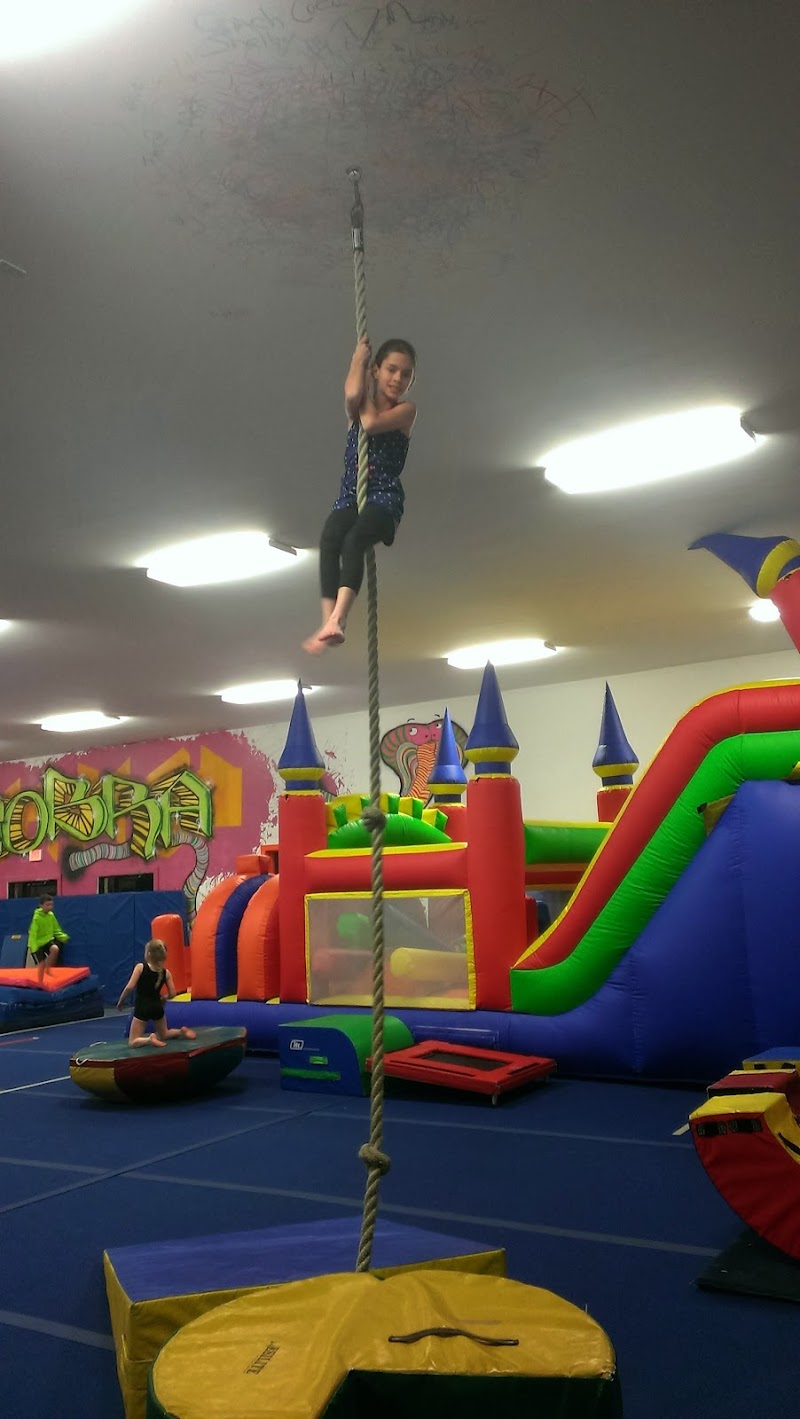 Cobra Gymnastics & Dance Center