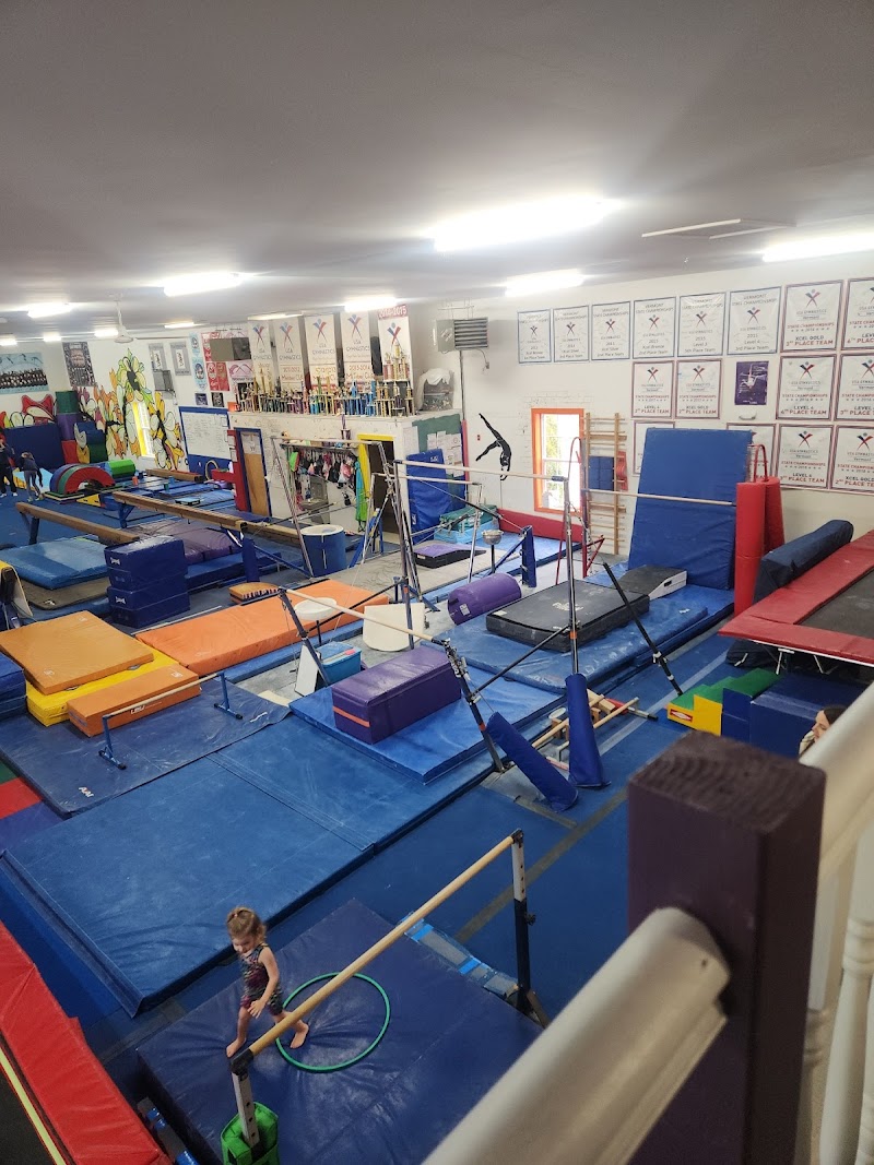 Cobra Gymnastics & Dance Center