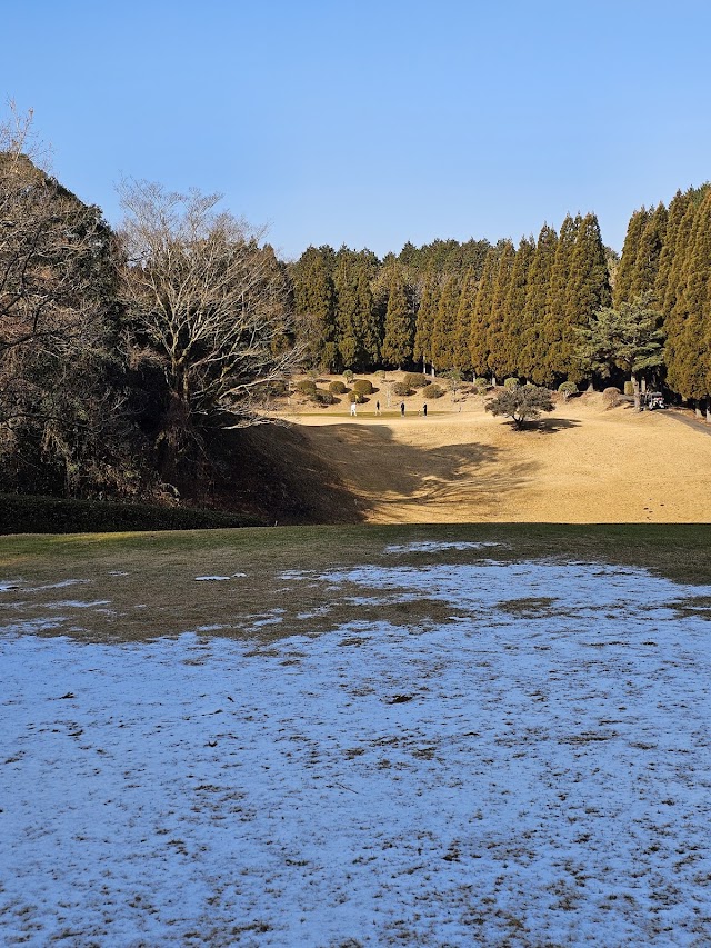 Yabe Samba Valley Country Club - Photo 6