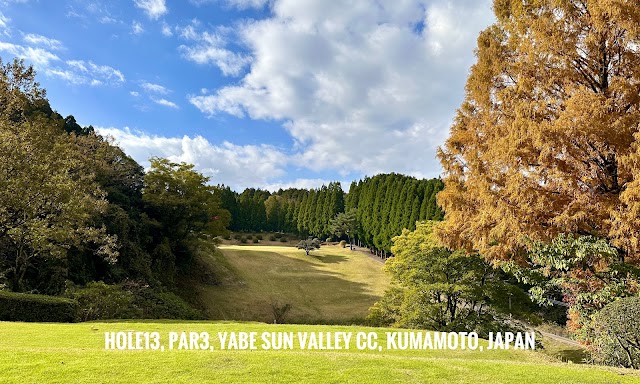Yabe Samba Valley Country Club - Photo 9