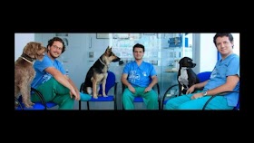 Clínica Veterinaria Clinican