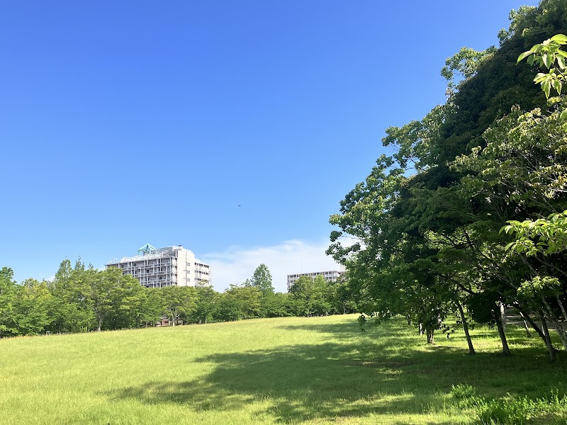 神戸市立西神中央公園