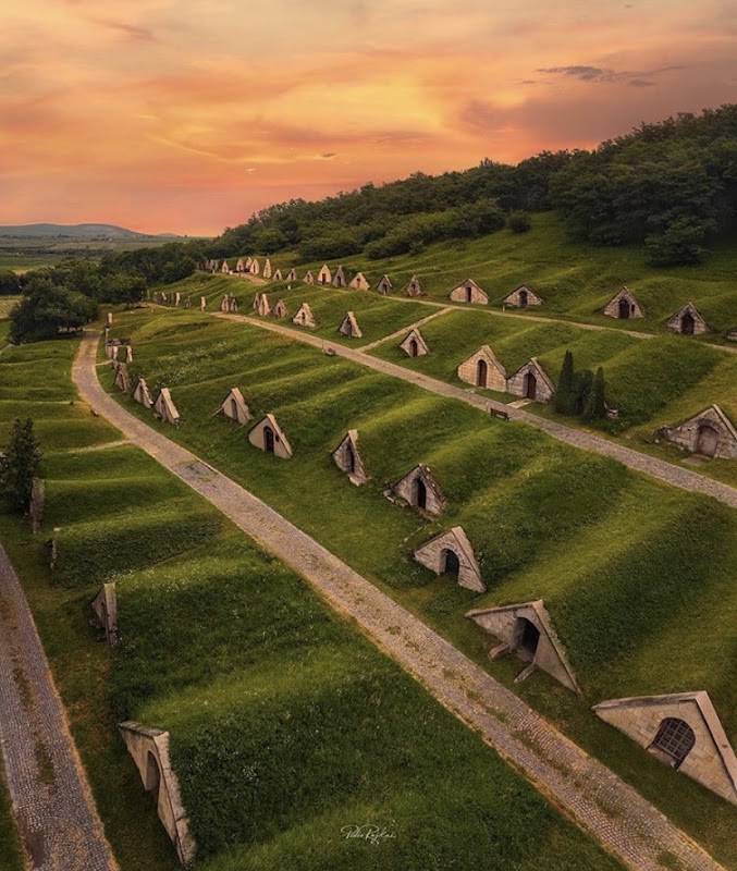Götz Pincészet Gombos-hegyi Pincesor UNESCO